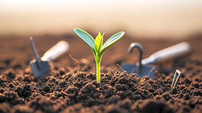 CGIAR Supports International Year of the Woman Farmer with Research and Innovation