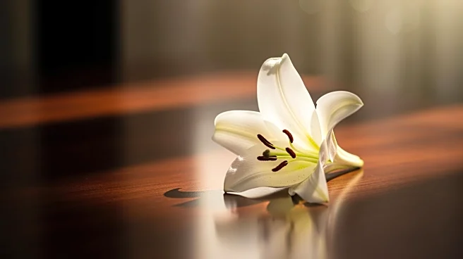 Renee Good's Legacy Remembered Amid Tragic Circumstances