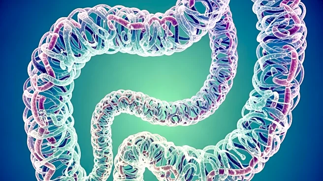 Gut Microbiome Alterations Linked to Pediatric Constipation