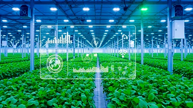 Vietnam and Brazil Enhance Cooperation in Smart Agriculture and Digital Farming