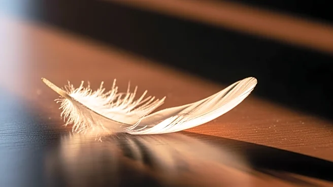 Mozambique's 'Miracle Baby' Rosita Mabuiango Passes Away at 25 After Long Illness