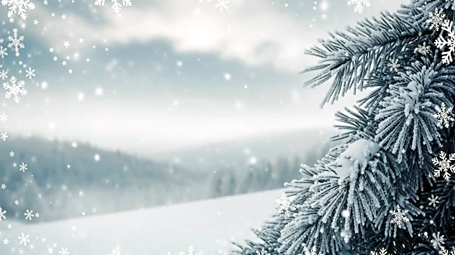 Weather Forecast: Cold Air and Snow Expected to Return After Showers