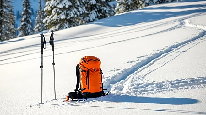 Puppy Training for Avalanche Rescues Captured on Ski Slopes