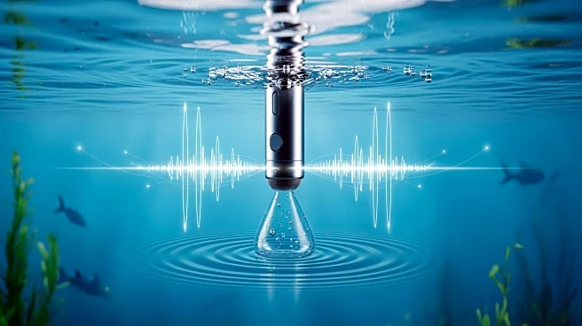 Israeli Researchers Use AI to Decode Fish Feeding Sounds for Aquaculture