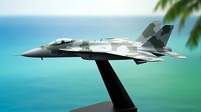 Painted Plane Used in Caribbean Strike Part of Disguised Aircraft Fleet, Sources Reveal