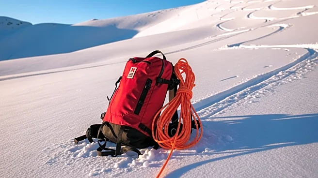 Puppy in Avalanche Rescue Training Captures Hearts on Ski Slopes