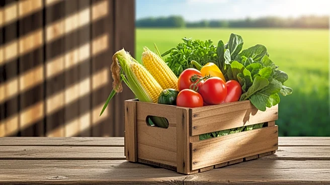 Wade Dooley Announces Candidacy for Iowa Secretary of Agriculture