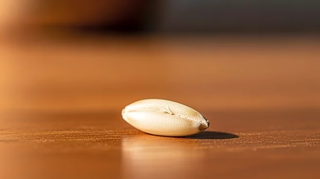 Proposal to Redefine Ultra-Processed Foods by Absence of Additives Gains Attention