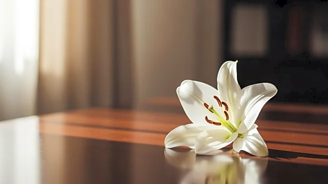 Obituary: Wm. Albert Shannon Passes Away at 87