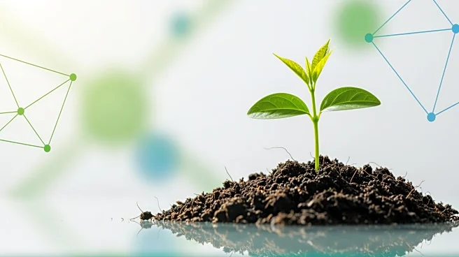 Small Businesses Urged to Play Larger Role in Climate Action at Davos