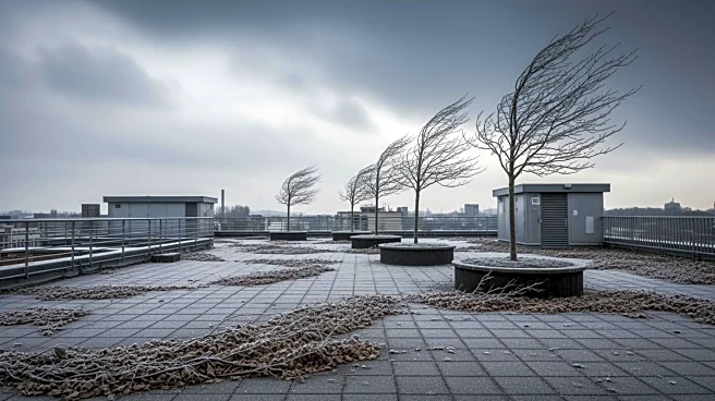 Blustery and Cold Weather Forecast for NYC Area on Thursday