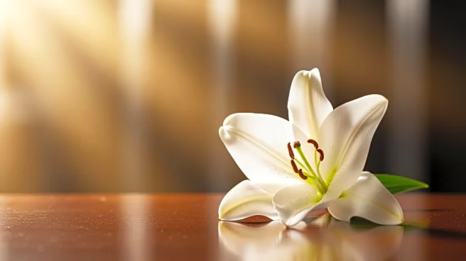 Dianne Fleming Marks' Legacy Celebrated in Obituary