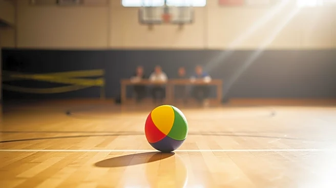 Drug Free Muskingum Organizes Charity Dodgeball Tournament to Support Addiction Recovery