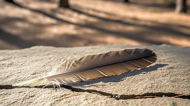 Native Americans Report Detainment by ICE in Minnesota Raids