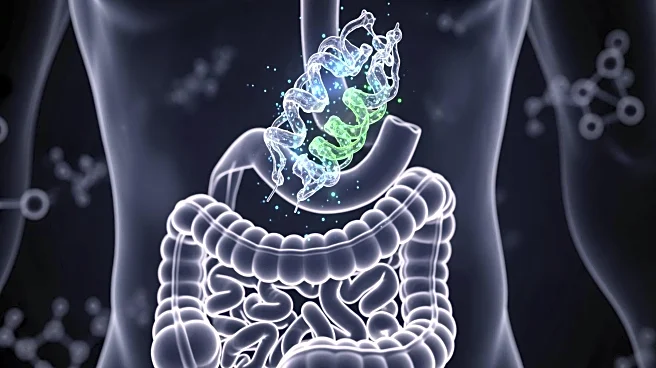 MIT Researchers Discover Dual-Function GI Tract Protein with Antimicrobial Properties