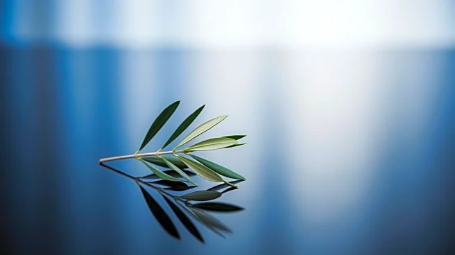 Beverly Hills Mayor Sharona Nazarian Expresses Solidarity with Iranian Protesters