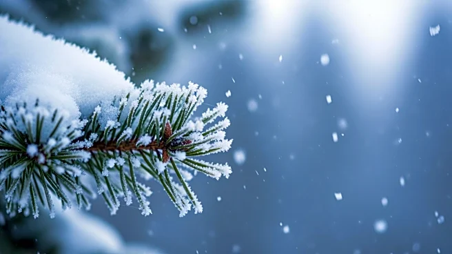 Winter Storm Warning Issued as Up to 24 Inches of Snow Expected Across U.S.