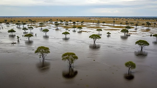 Kruger National Park Closes Amid Severe Flooding in South Africa