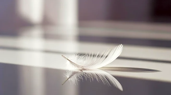 Record High Abortions in England and Wales Highlight Rising Trends