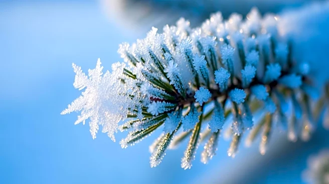 Cold Weather Forecast for Minnesota with Single Digit Highs