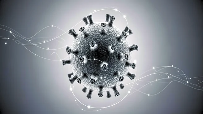 COVID-19 Pandemic Persists with High Infection Rates and Long COVID Impacting Millions