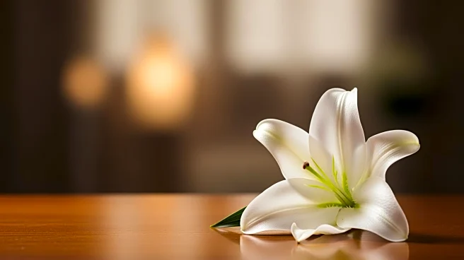 Tributes Pour in for Former Sinn Féin MP Mickey Brady After His Passing