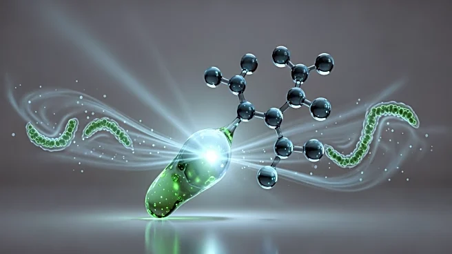 Microbiota-Dependent Bile Acid Shows Potential in Controlling Lung Inflammation