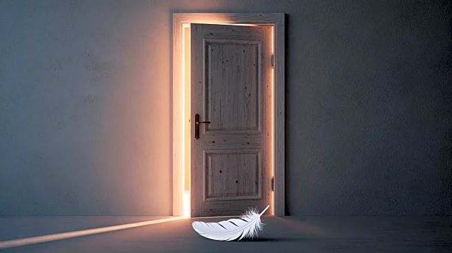 Jersey Proposes New Domestic Abuse Laws to Enhance Victim Protection