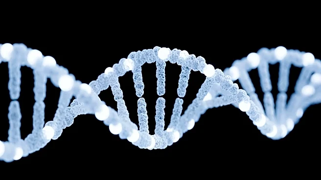 Study Identifies Monogenic Disorders in Iranian Patients with Very Early Onset IBD