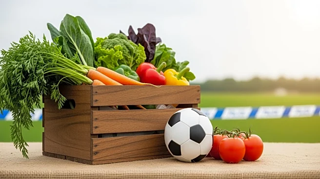 Japan Supports Sustainable Agriculture in BARMM Through Farm-to-School Meals Program