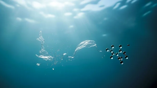 Microplastics Threaten Ocean's Carbon Absorption Capabilities