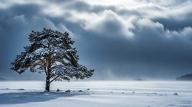 National Weather Service Upgrades Michigan Winter Storm Warning to Near-Blizzard Conditions