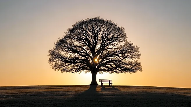 Alexander 'Big Al' Pannoni Passes Away at 77, Community Mourns