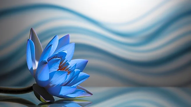 Research Highlights Misdiagnosis in Male Depression and Paternal Postpartum Depression