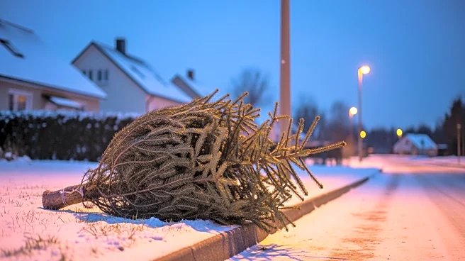 Battle Creek Christmas Tree Pickup Service Available Until January 23
