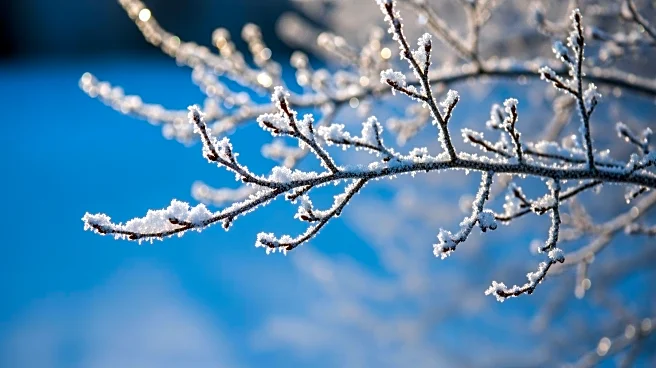 Tri-State Area Braces for Deep Freeze Following Snowfall