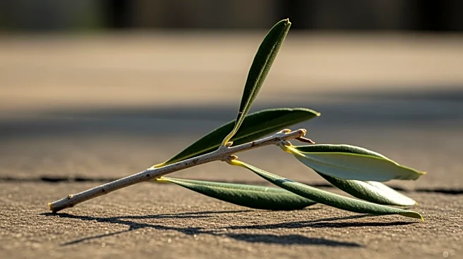 Palestinian Man Sentenced for Assaulting IDF Officer in Public Incident