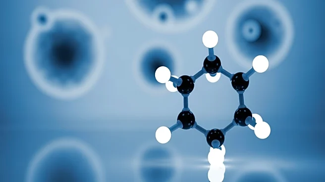 Study Highlights Role of AGTR1 in Bladder Cancer Progression and Potential of Losartan as Treatment