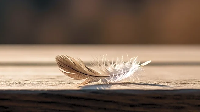 Rachel Eliza Griffiths Reflects on Personal Loss and Resilience in New Memoir