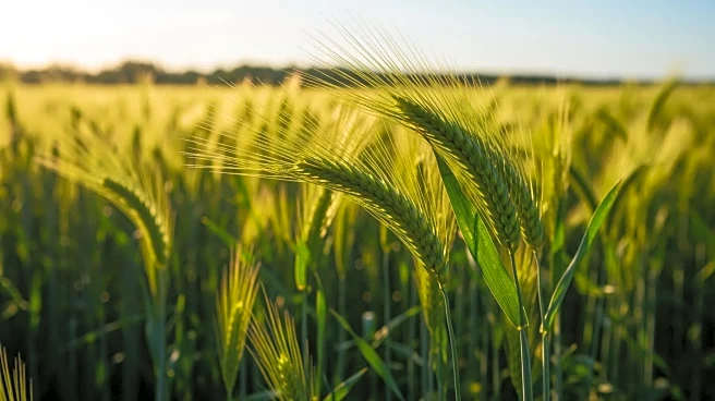 USask Crop Research Projects Receive $4.5M Boost from Agriculture Development Fund