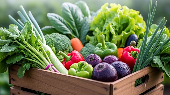 Emirates Expands Vegan Cuisine Options with Fresh Produce from Bustanica Farm