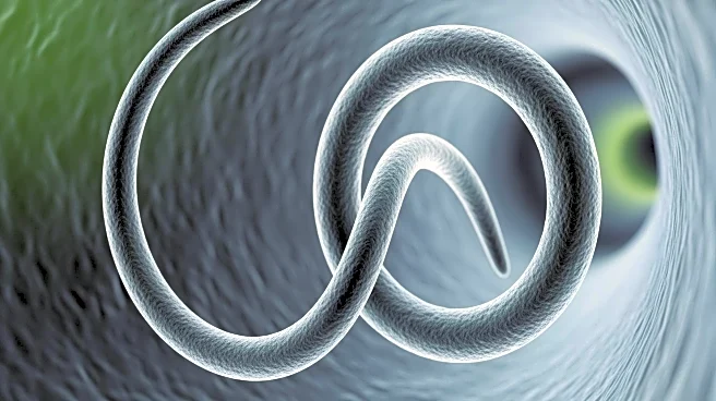 Bacteria Use Flagellar Wrapping to Navigate Confined Spaces, Enhancing Mobility