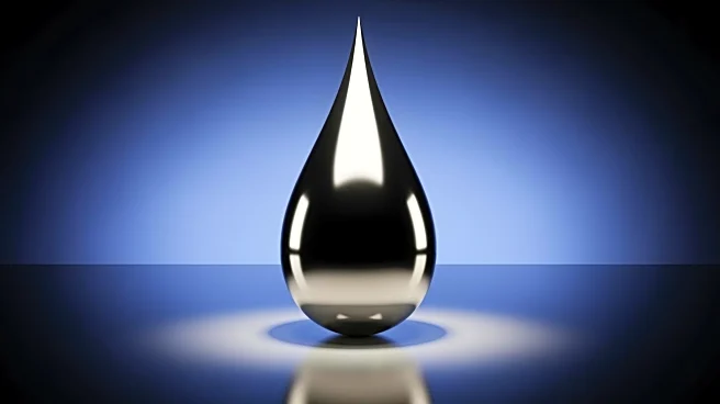 Hungary's MOL Seeks U.S. Approval for Acquisition of Serbia's NIS