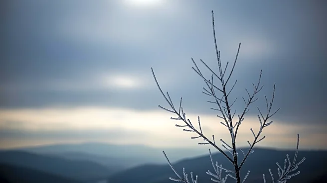 North Texas Braces for Severe Cold as Storm System Approaches