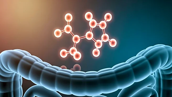 Genetic Study Highlights Vitamin B1's Role in Gut Motility