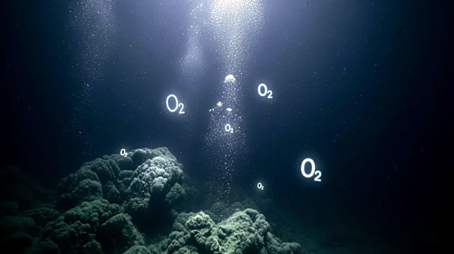 Scientists Explore 'Dark Oxygen' Phenomenon in Deep-Sea Mining Zone