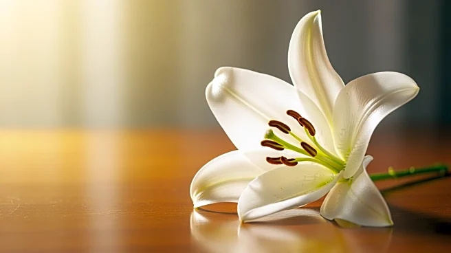 Adam Hagen's Legacy Honored After Battle with Cancer