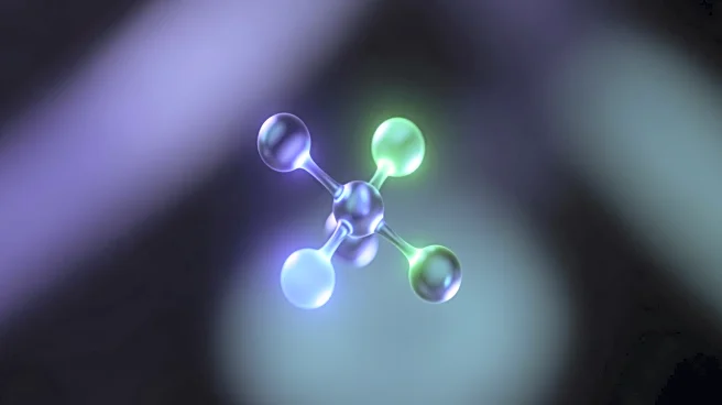 ETH Zurich Researchers Identify HIF1 as Key Molecule in Tendon Pain