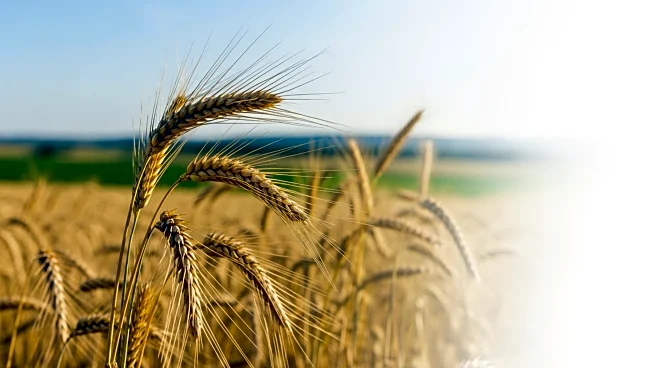 Türkiye's Konya Agriculture Fair to Foster MENA and Global Partnerships