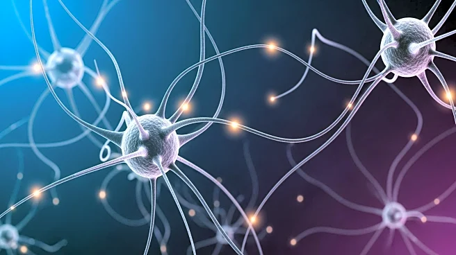 Microglia Activity Linked to Infantile Amnesia in Mice, Study Finds